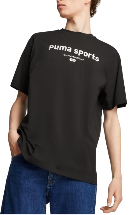 Pánské tričko s krátkým rukávem Puma Team Graphic