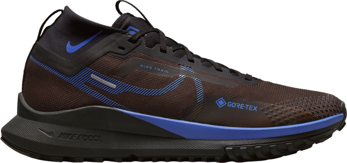 Pánské trailové boty Nike Pegasus Trail 4 GORE-TEX